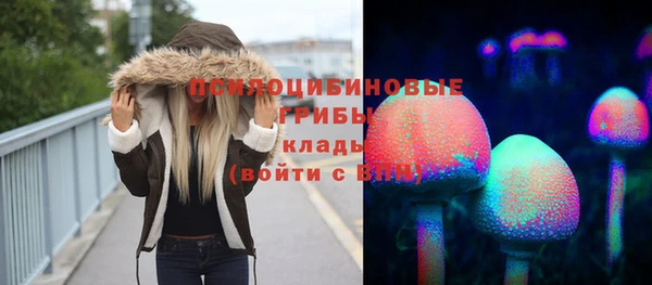 спиды Балахна