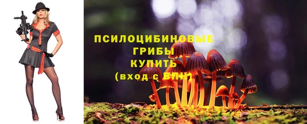 спайс Елабуга