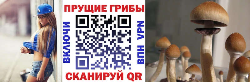 Галлюциногенные грибы прущие грибы  магазин  наркотиков  OMG как войти  Нязепетровск 