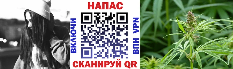 Каннабис VHQ  OMG как зайти  Нязепетровск  darknet Telegram  наркота 